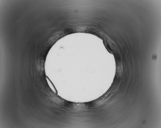 X0000099400525200806051210
