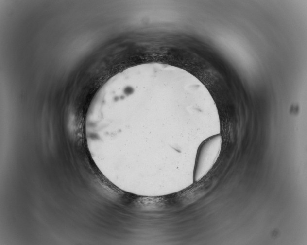 X0000099400526200806051210