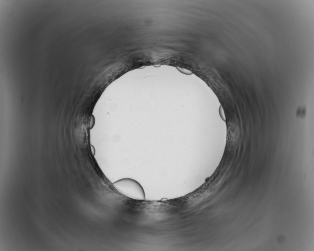 X0000099400527200806051210
