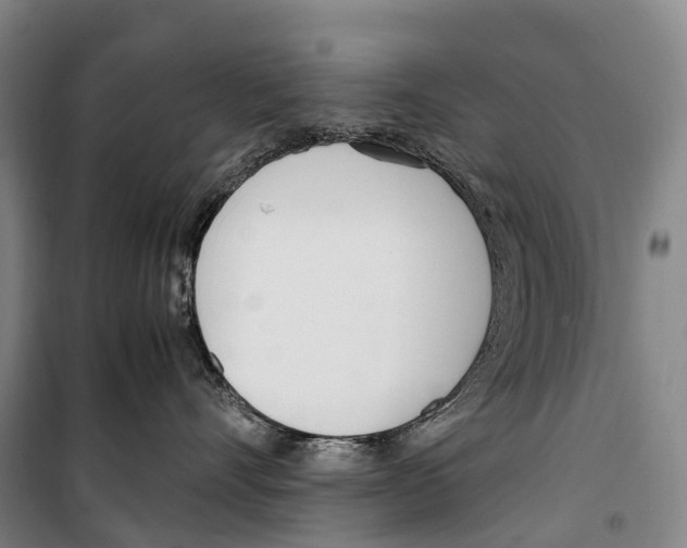 X0000099400528200806051210
