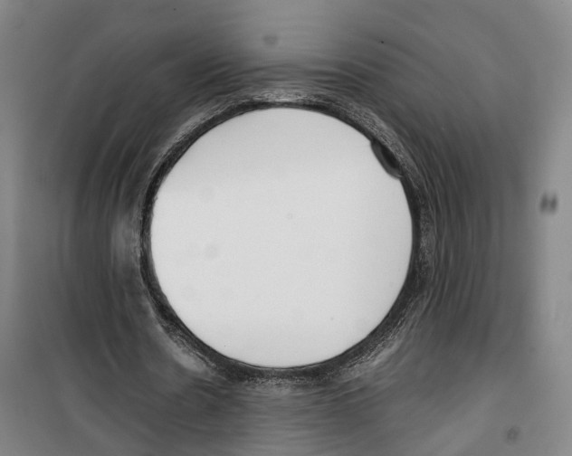 X0000099400530200806051210