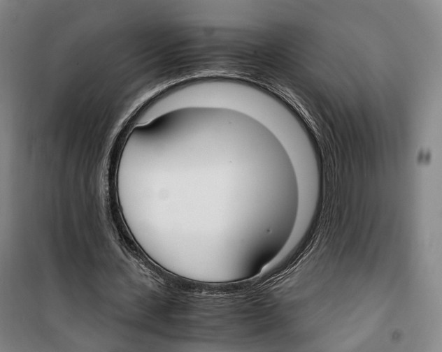 X0000099400531200806051210