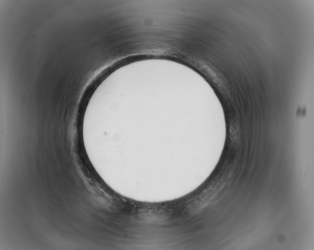 X0000099400532200806051210