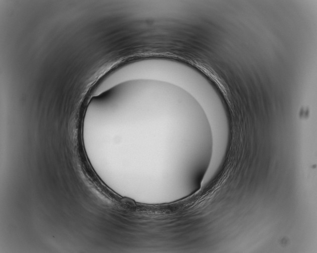 X0000099400533200806051210