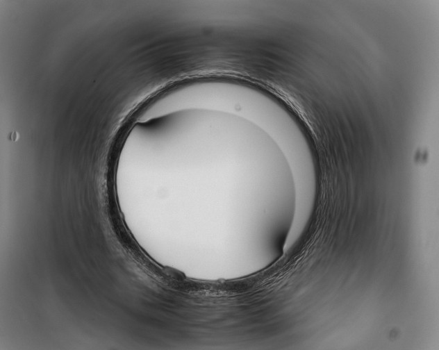 X0000099400535200806051210