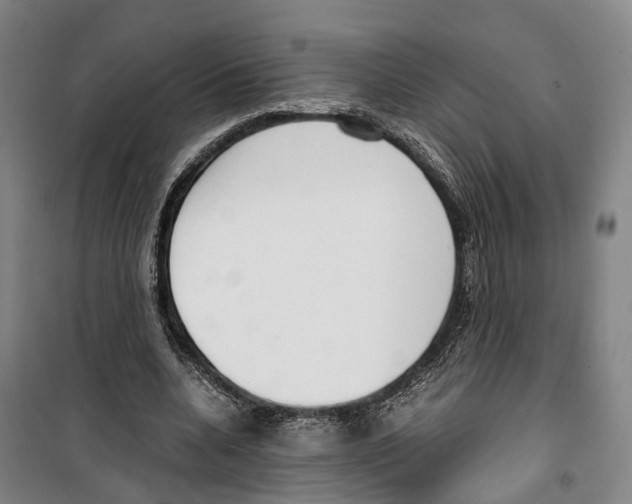X0000099400536200806051210