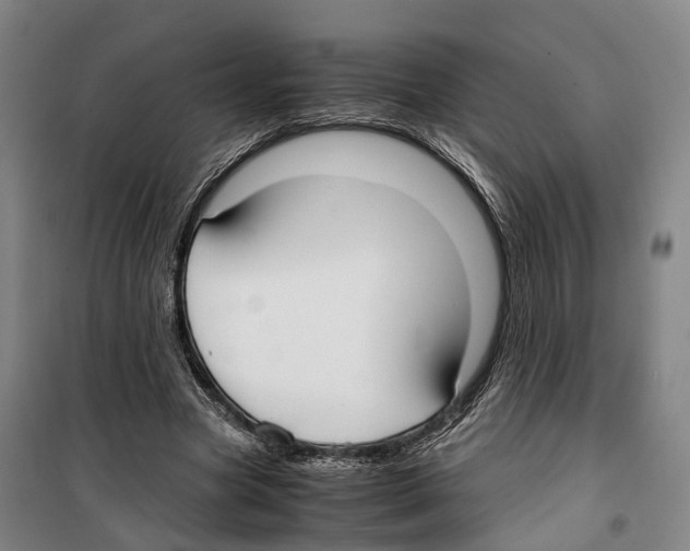 X0000099400537200806051210