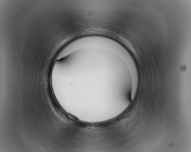 X0000099400538200806051210