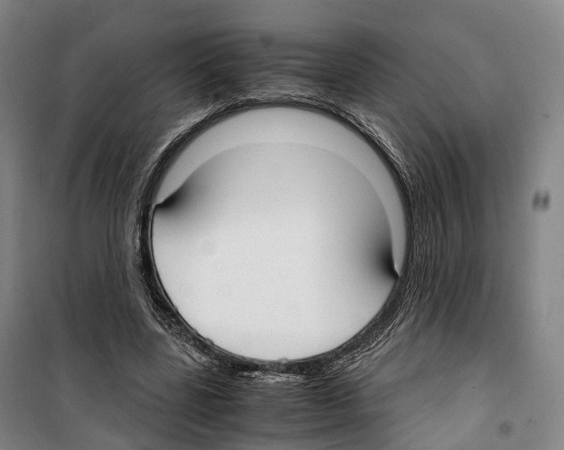 X0000099400539200806051210