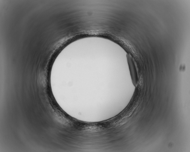 X0000099400540200806051210