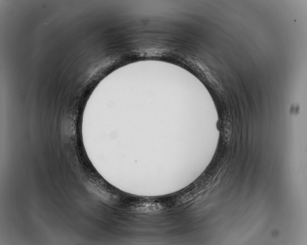 X0000099400543200806051210