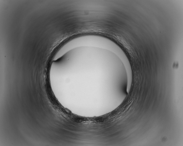 X0000099400544200806051210