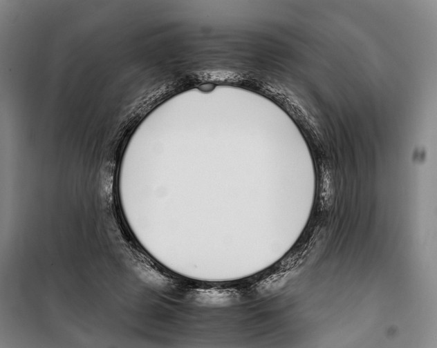 X0000099400545200806051210