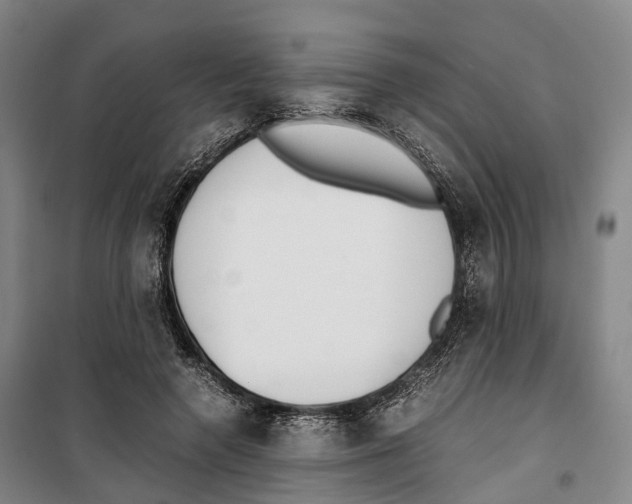 X0000099400546200806051210