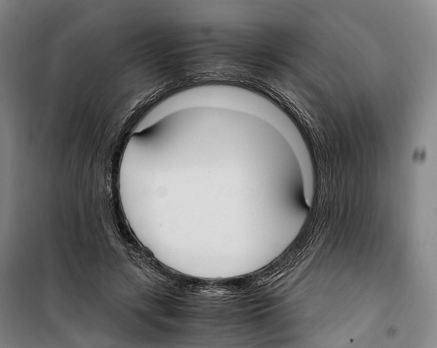 X0000099400547200806051210