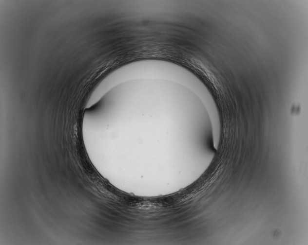 X0000099400549200806051210