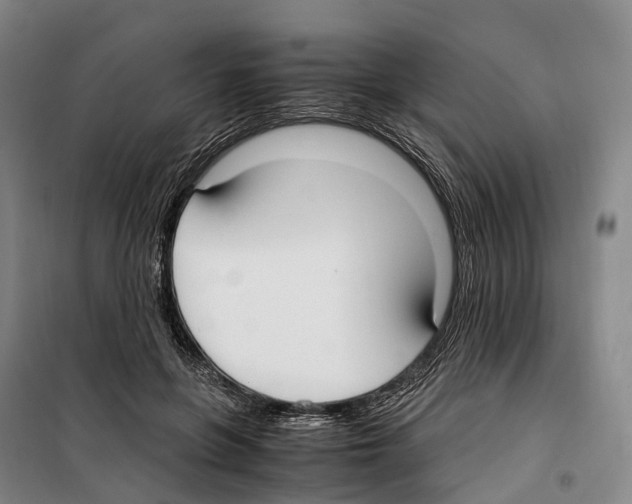 X0000099400551200806051210