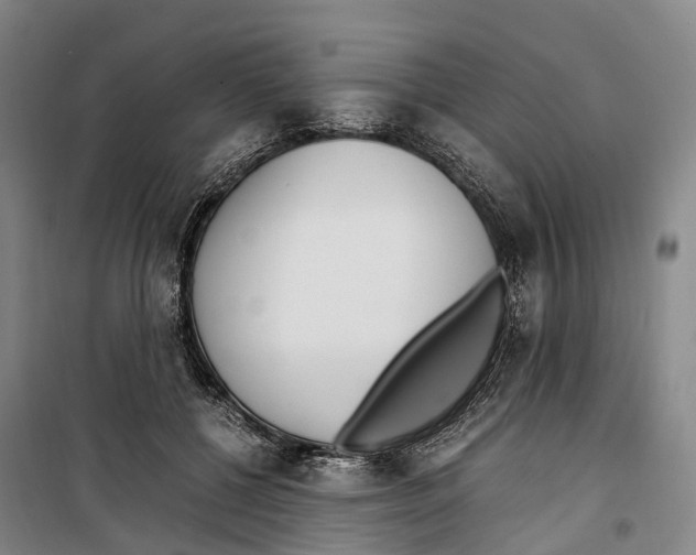 X0000099400552200806051210