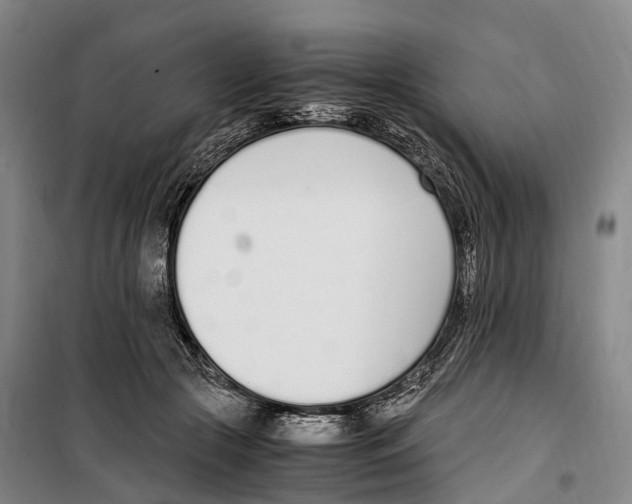 X0000099400553200806051210