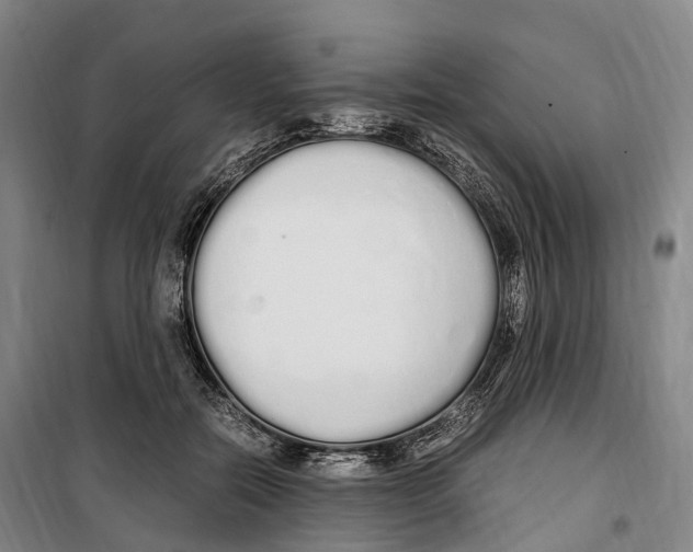 X0000099400554200806051210