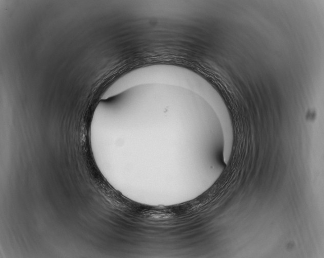 X0000099400555200806051210