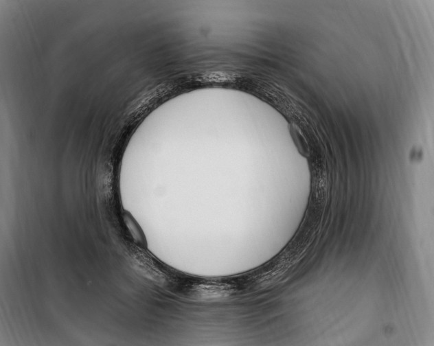 X0000099400556200806051210