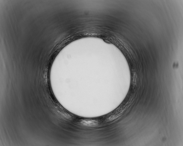 X0000099400557200806051210