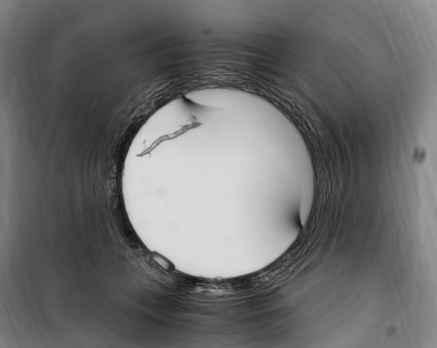 X0000099400559200806051210