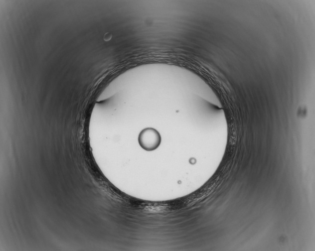 X0000099400560200806051210