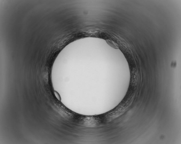 X0000099400562200806051210