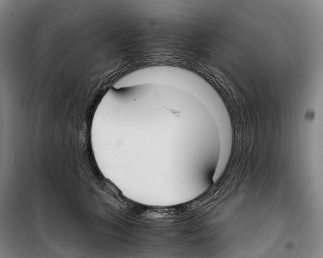 X0000099400563200806051210