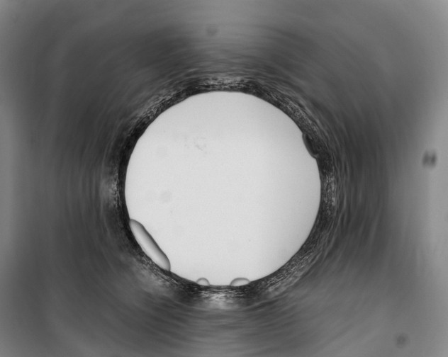 X0000099400564200806051210