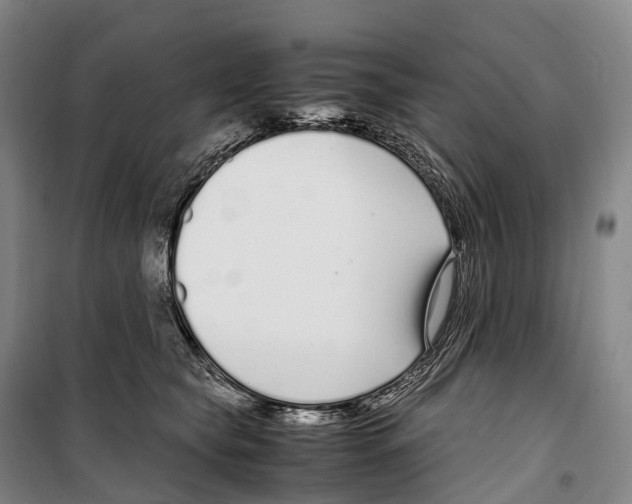 X0000099400565200806051210