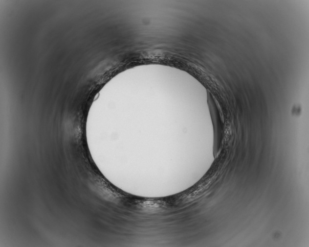 X0000099400566200806051210