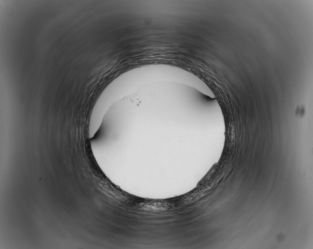 X0000099400567200806051210