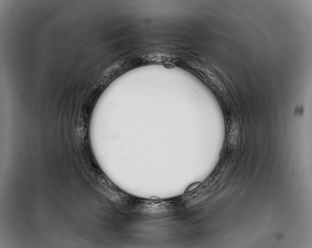 X0000099400569200806051210