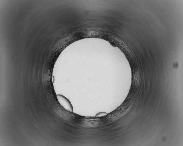 X0000099400571200806051210