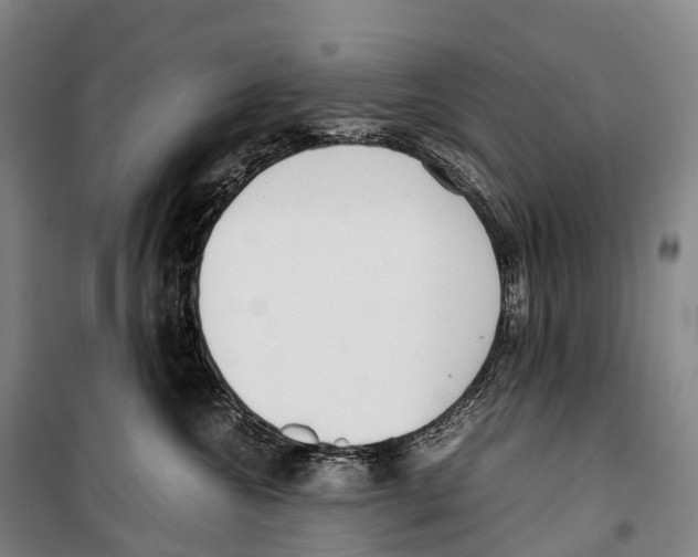 X0000099400572200806051210