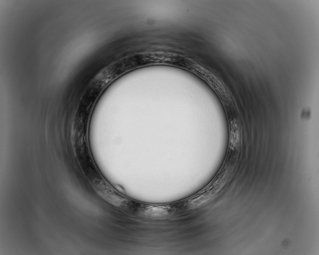 X0000099400573200806051210