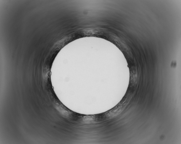X0000099400574200806051210