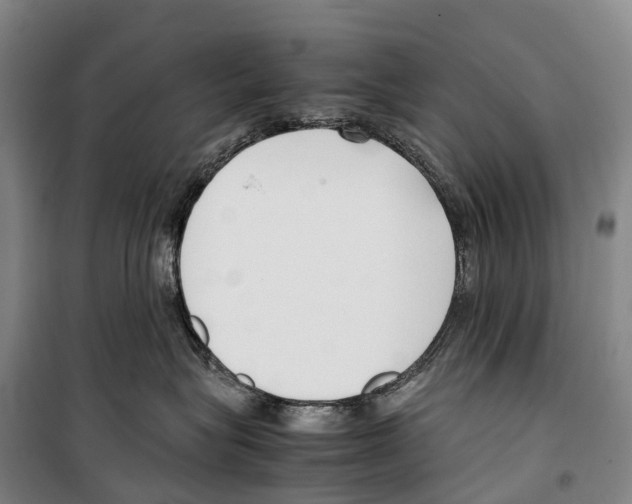 X0000099400575200806051210