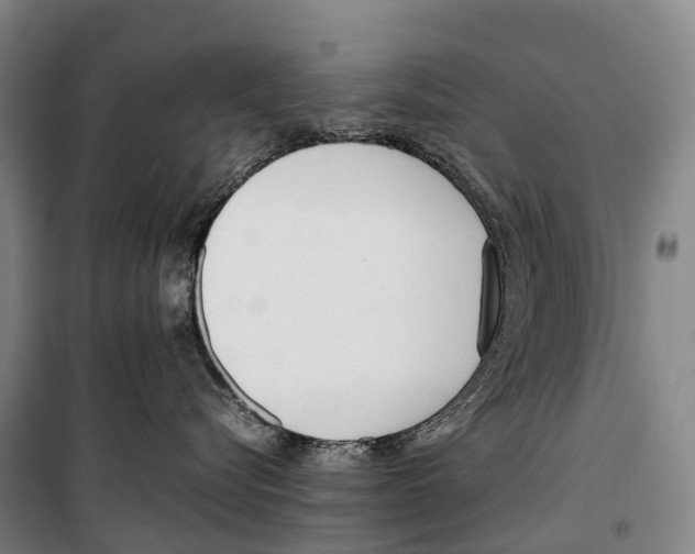 X0000099400576200806051210