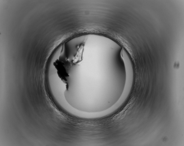 X0000099400578200806051210