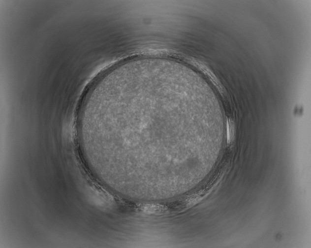 X0000099400579200806051210