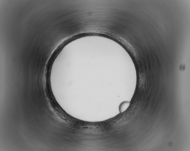 X0000099400580200806051210
