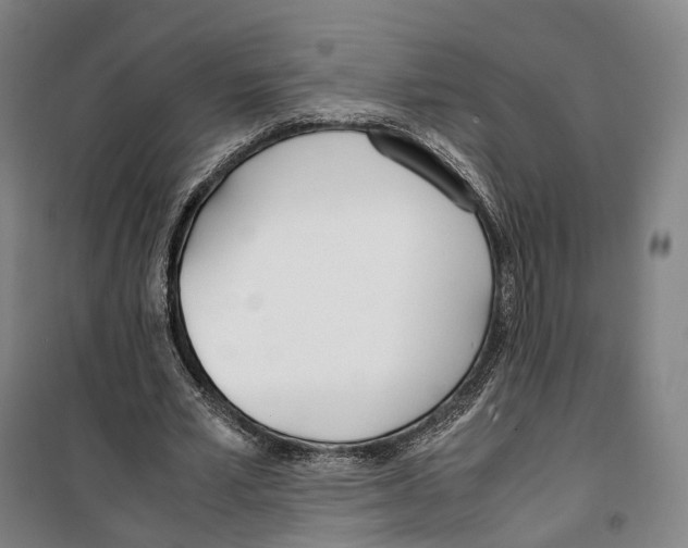 X0000099400581200806051210