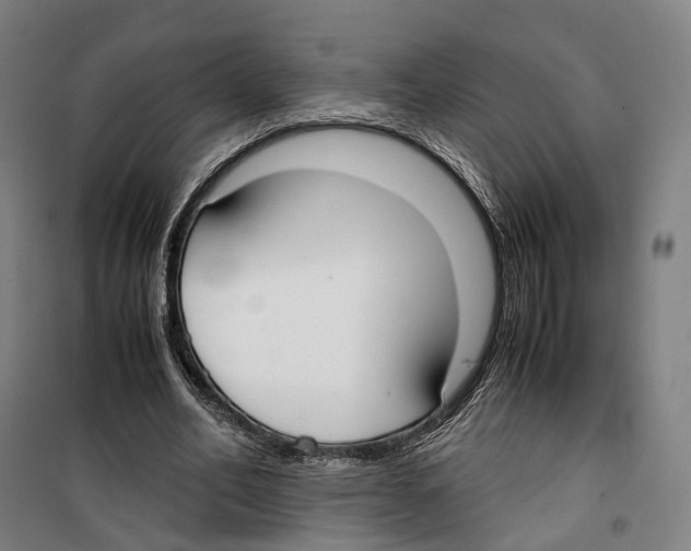 X0000099400582200806051210