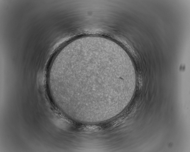 X0000099400583200806051210
