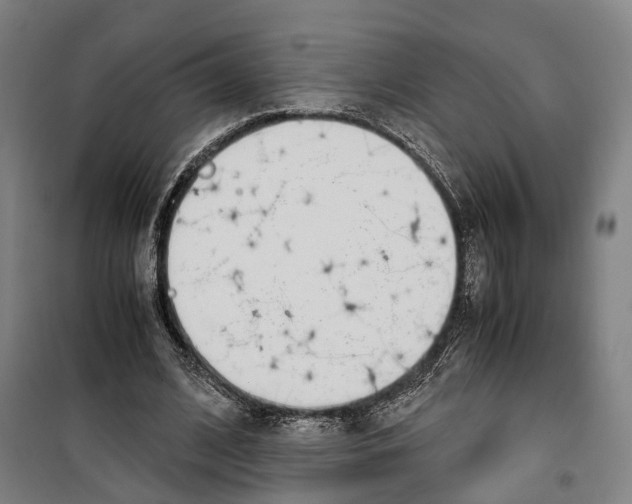 X0000099400584200806051209