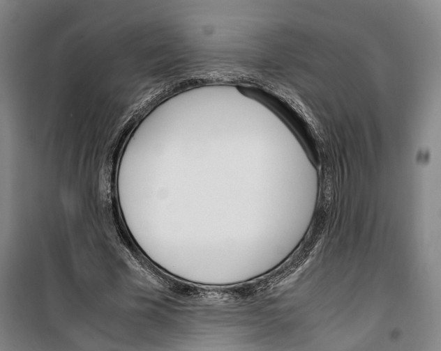 X0000099400585200806051209